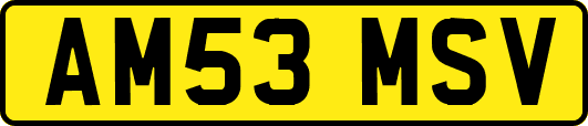 AM53MSV