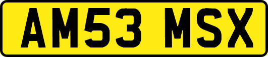AM53MSX