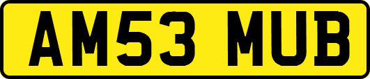 AM53MUB