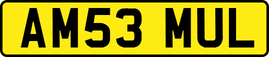 AM53MUL