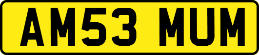 AM53MUM