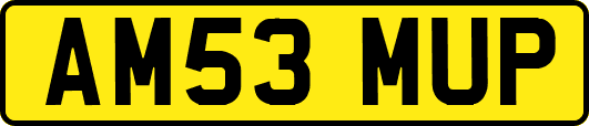 AM53MUP