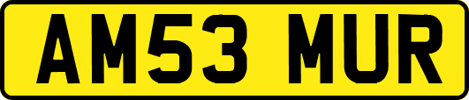 AM53MUR