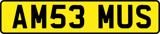 AM53MUS