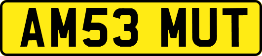 AM53MUT