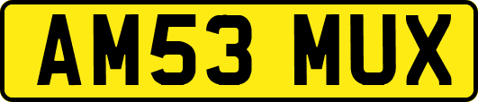 AM53MUX
