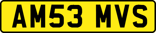AM53MVS