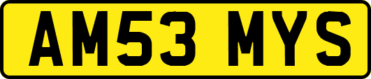 AM53MYS