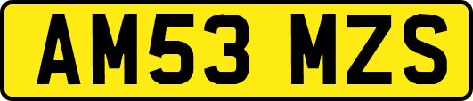 AM53MZS
