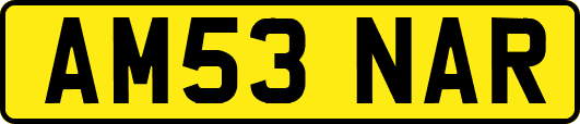 AM53NAR