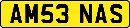 AM53NAS