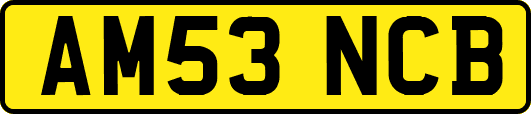AM53NCB