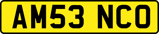 AM53NCO