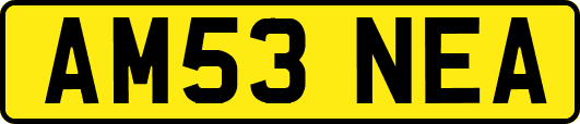 AM53NEA