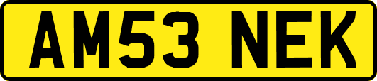 AM53NEK