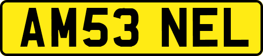 AM53NEL