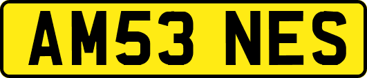 AM53NES