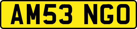 AM53NGO