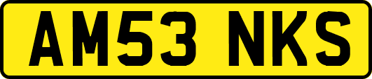 AM53NKS