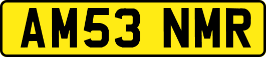 AM53NMR