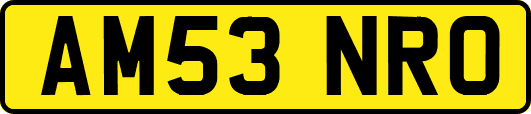 AM53NRO