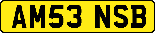AM53NSB