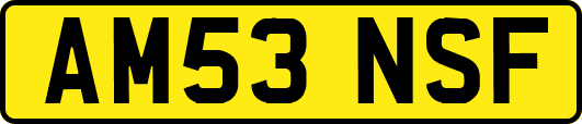 AM53NSF