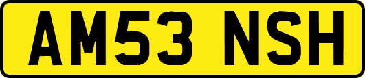 AM53NSH