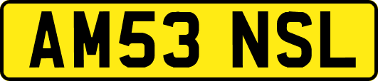 AM53NSL