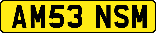 AM53NSM