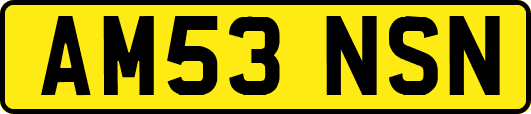 AM53NSN