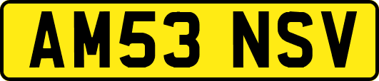 AM53NSV