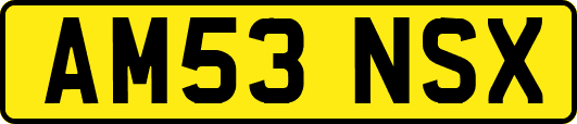 AM53NSX