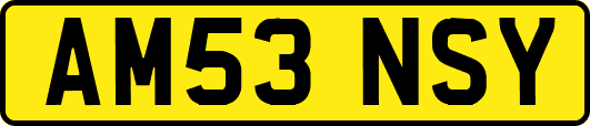 AM53NSY