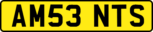 AM53NTS