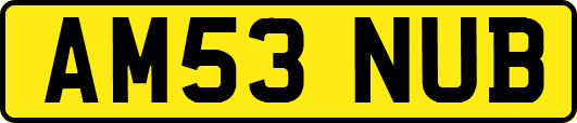 AM53NUB