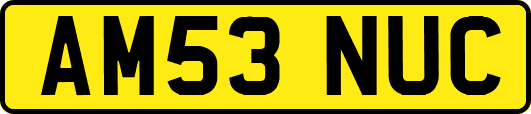 AM53NUC