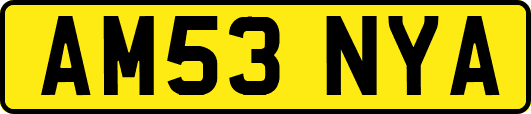 AM53NYA