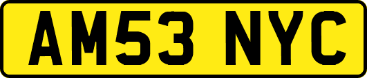 AM53NYC