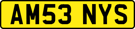 AM53NYS