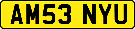 AM53NYU