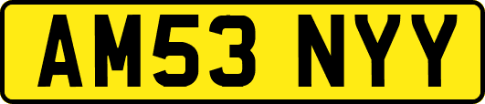 AM53NYY