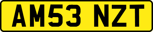 AM53NZT
