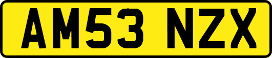 AM53NZX