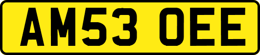 AM53OEE
