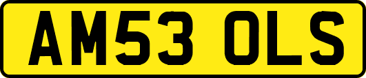 AM53OLS
