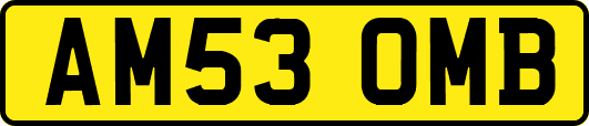 AM53OMB