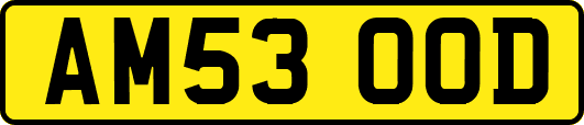 AM53OOD