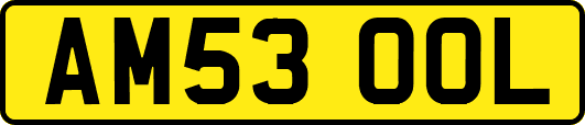 AM53OOL