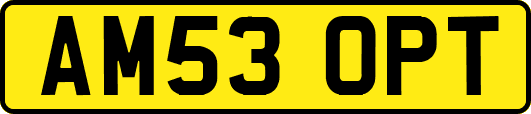 AM53OPT